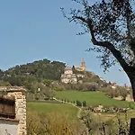 Olea