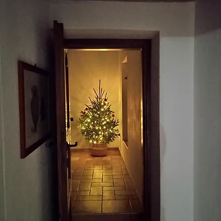 Σπίτι διακοπών Olea *