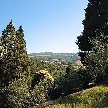 Nyaraló Olea Todi