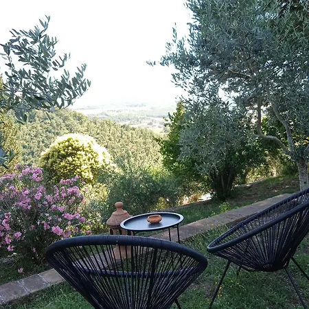 Nyaraló Olea