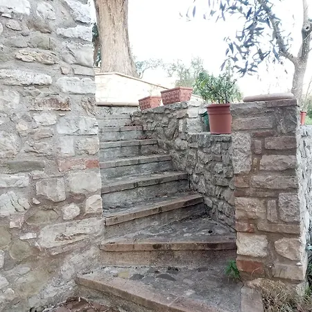 Σπίτι διακοπών Olea