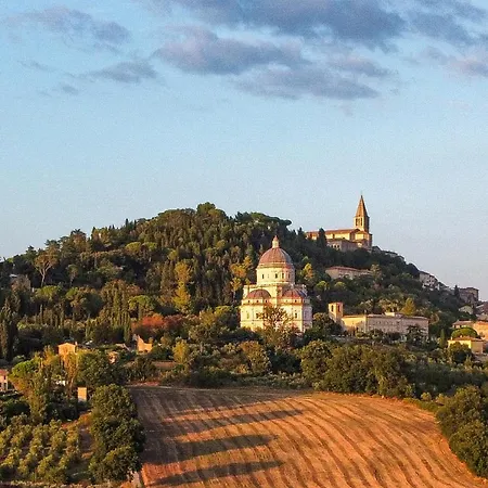 Olea Todi