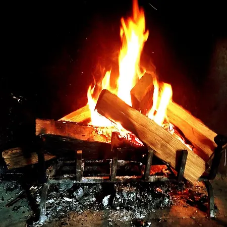 Olea Σπίτι διακοπών